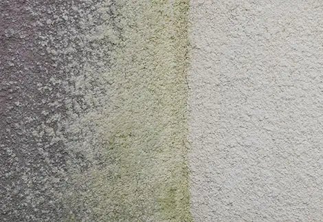 Algenreinigung Boppert & Arndt