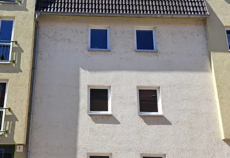 Fassadenspinne (Mauerspinne) entfernen Boppert & Arndt